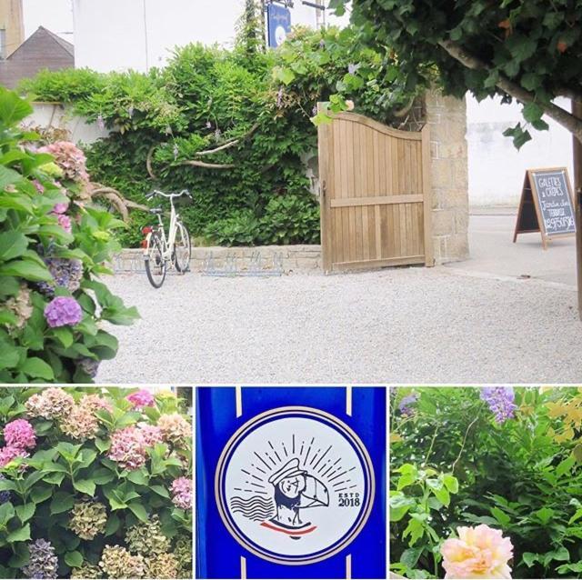 Chambre D'Hotes Avec Petit-Dejeuner - Le Poulpiquet Quiberon Exterior foto